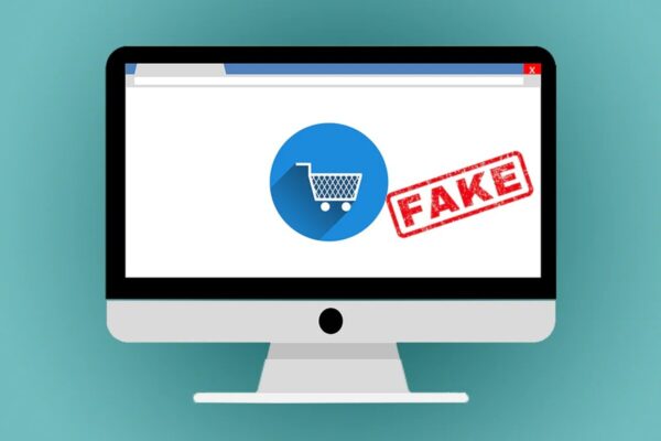 What is E-commerce Fraud
